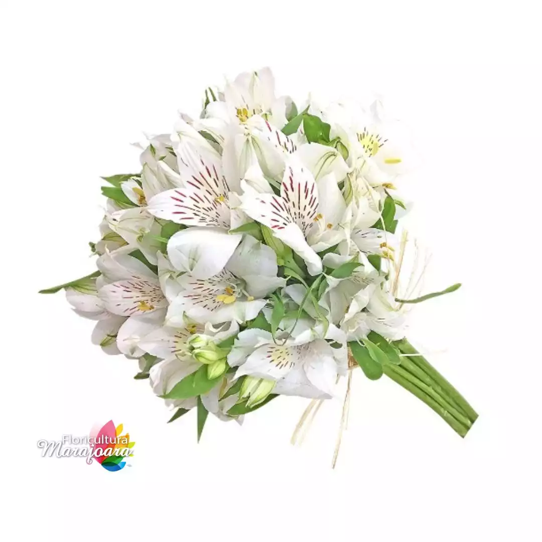 Buquê de Astromélias Branca