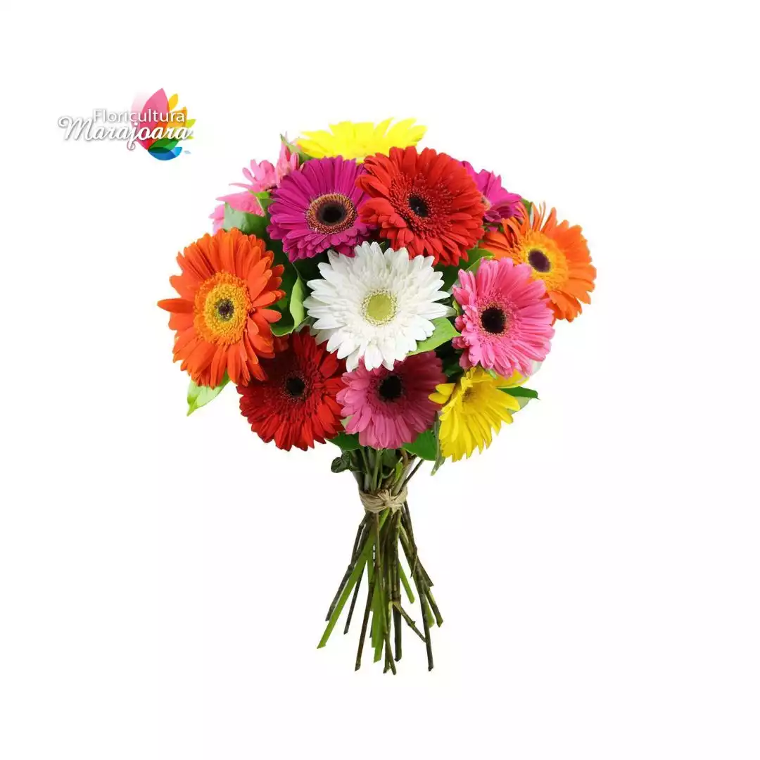 Buquê de Gérbera