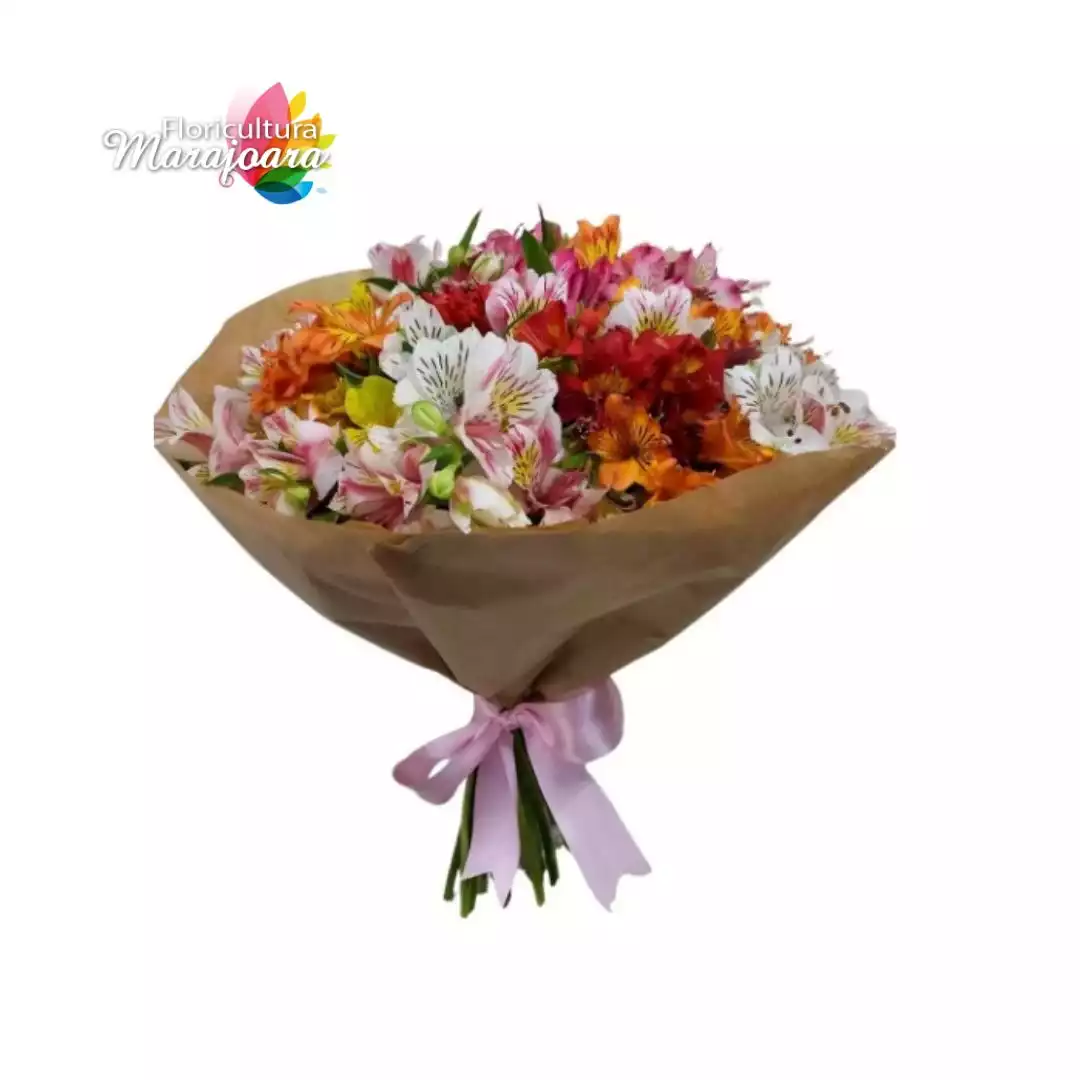 Buquê de Astromélias variadas