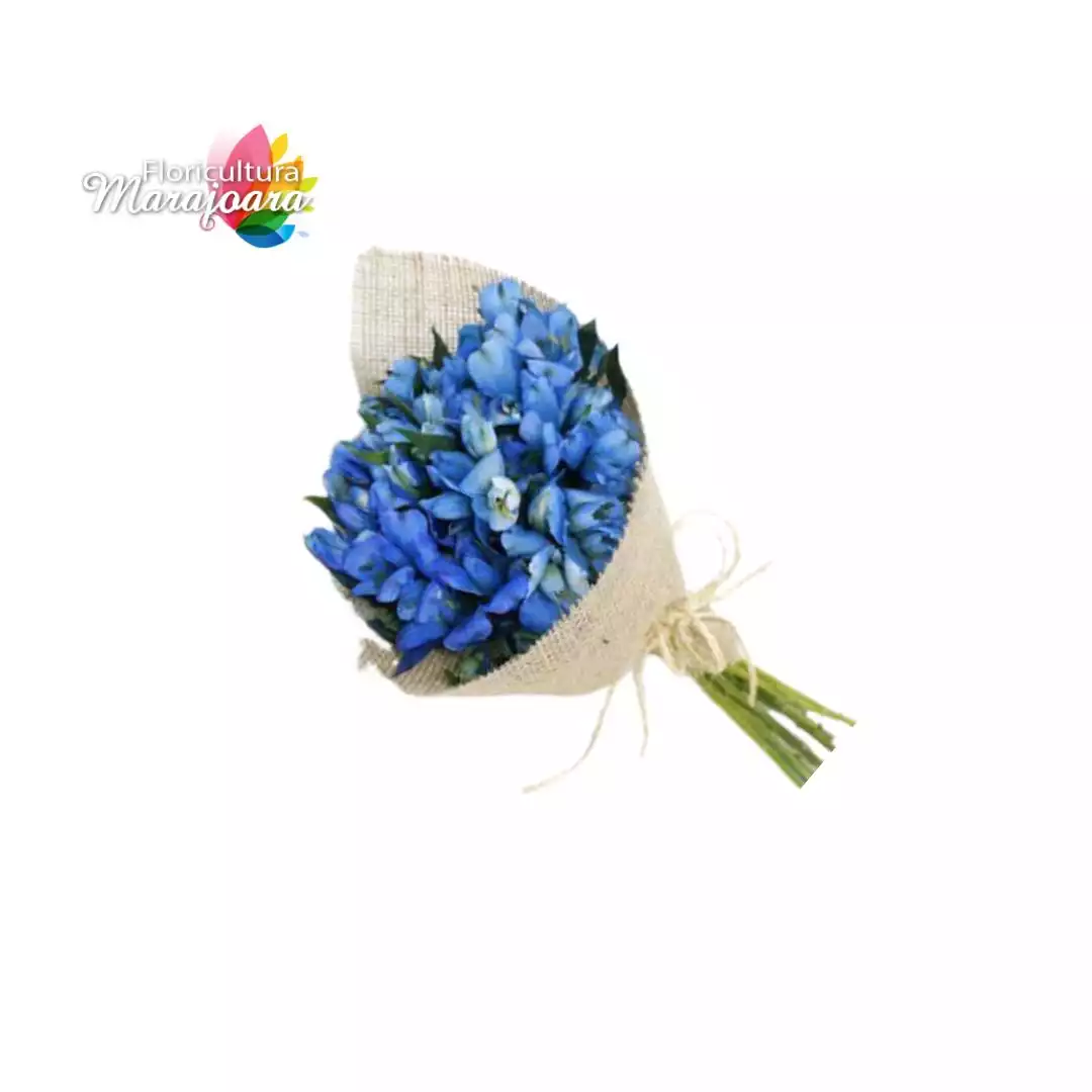 Buquê de Astromélias Azul